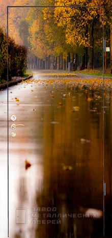 Фото «Дверь с фотопечатью №5» в Электрогорску